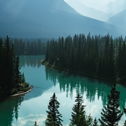 揭開牙齒美白劑的秘密：成分大公開！