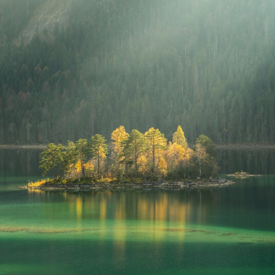 「新牙新生活：牙齒植入後的貼心護理指南」